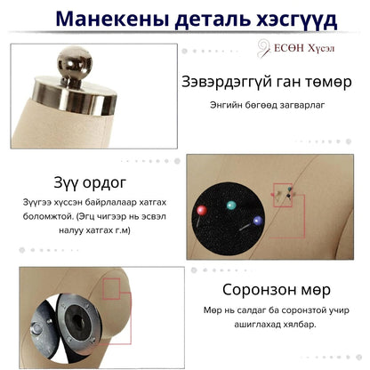 Зүү ордог мэргэжлийн манекен M / 88 (Ширмэн хөлтэй)